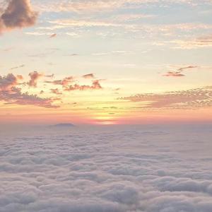 国产美女在线精品免费观看网址
